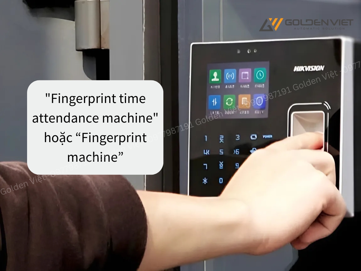 Máy chấm công vân tay - Fingerprint time attendance machine