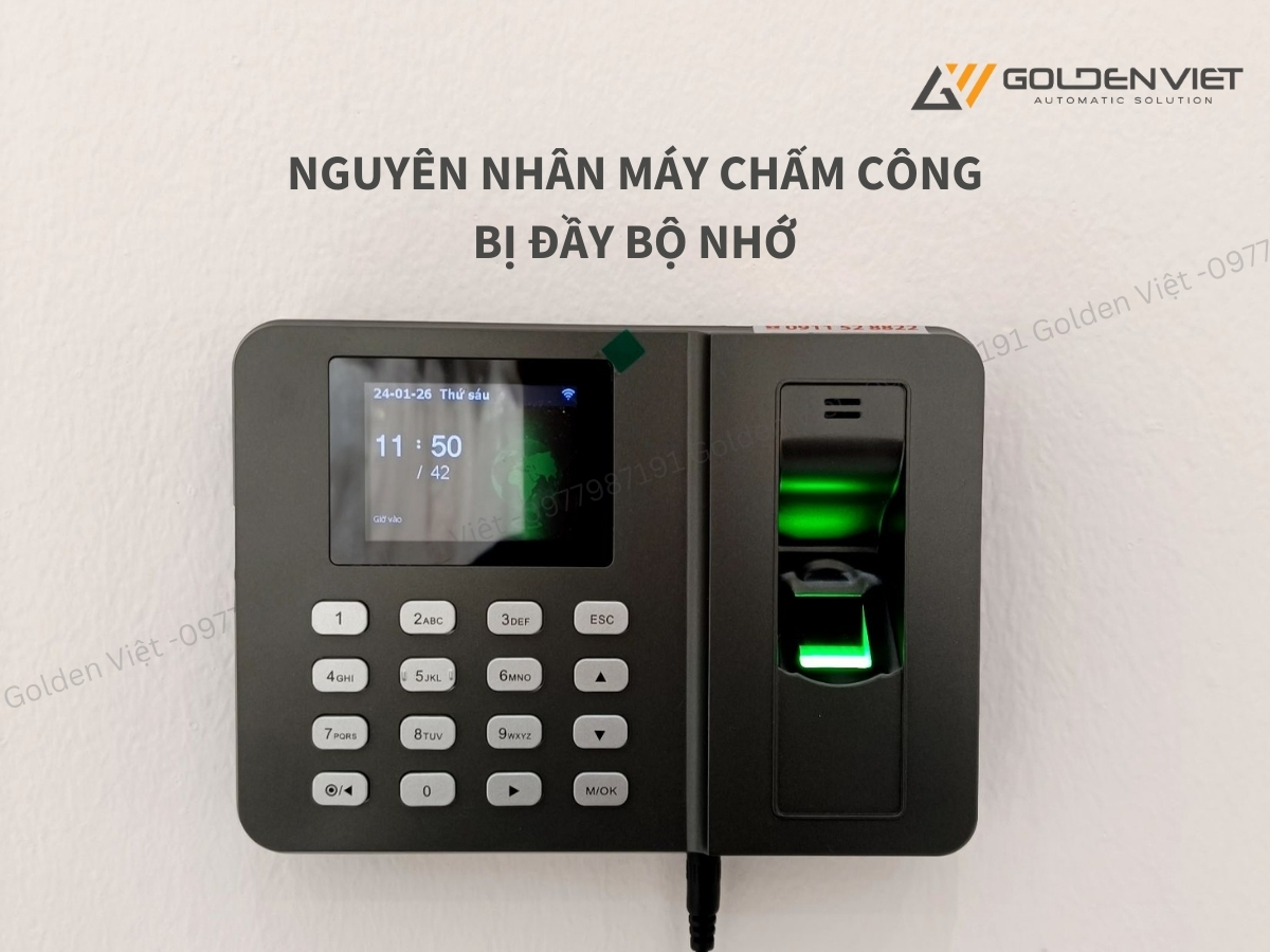 3 nguyên nhân chính khiến bộ nhớ máy chấm công bị đầy